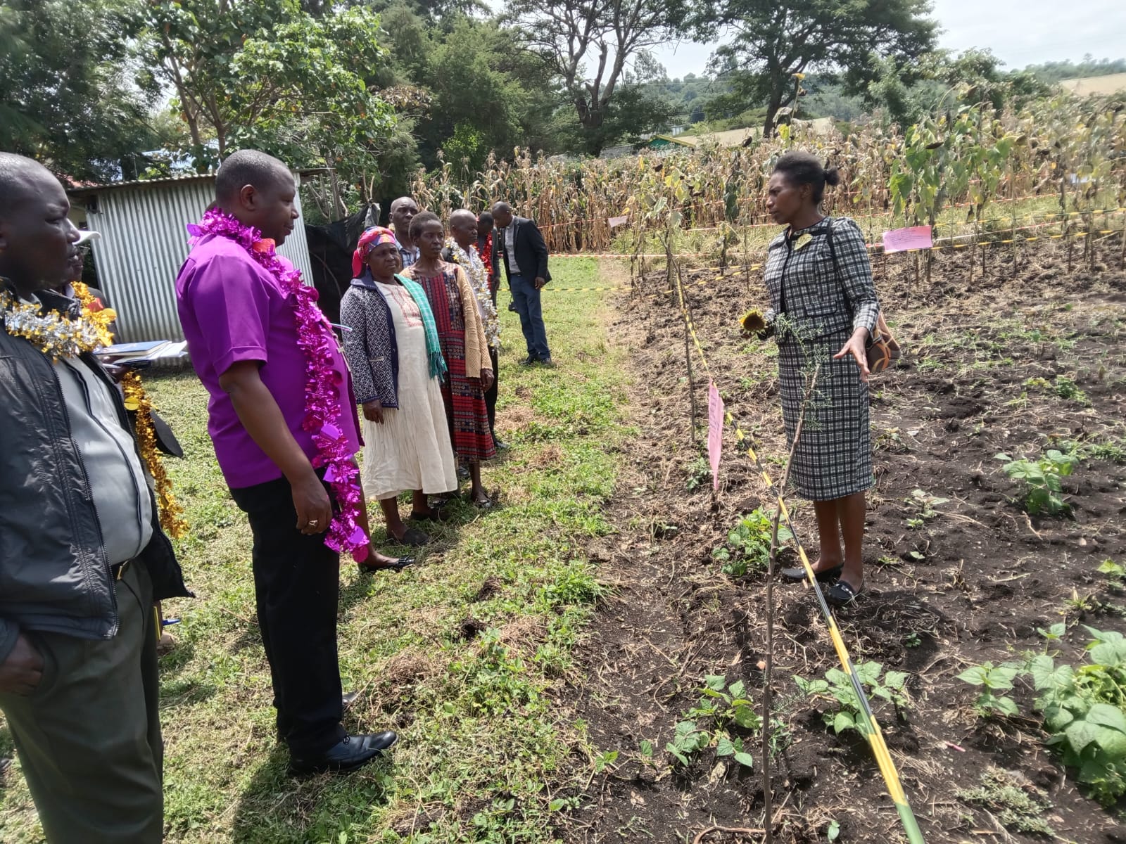September 2025, Kericho County — Farmers Field School (FFS) Project under ADS South Rift hosted vibrant field visit days. 